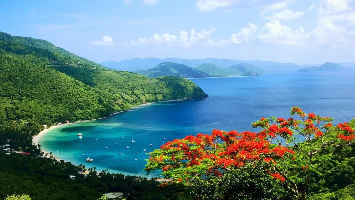 高标准电子
